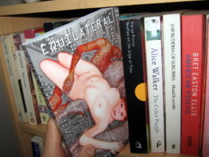 Equilateral Book on shelf