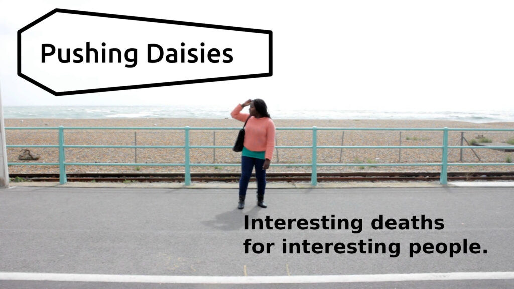 Pushing Daisies (poster)